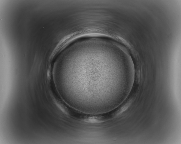 X0000086230064200704051206