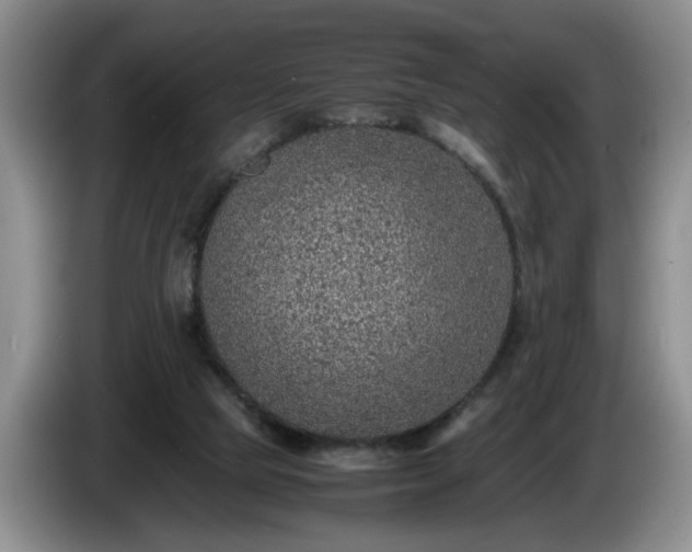 X0000086230065200704051206