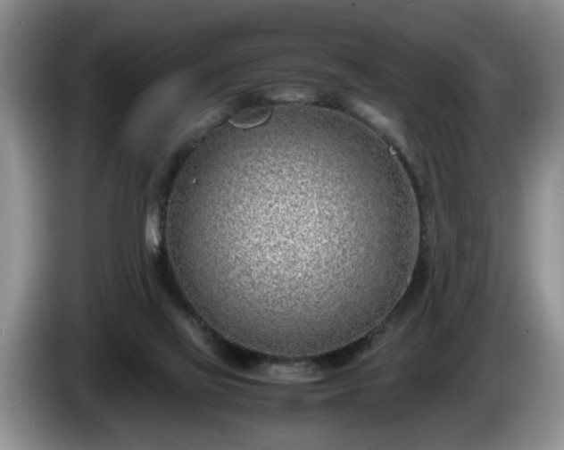 X0000086230069200704051206