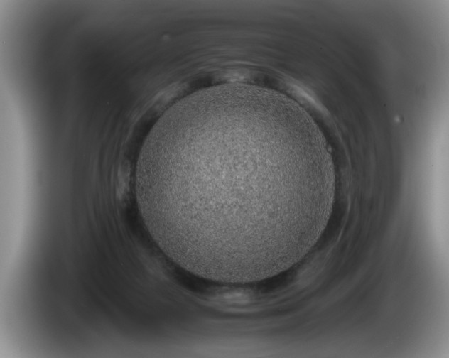 X0000086230073200704051206