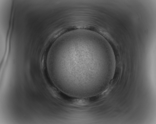 X0000086230074200704051206