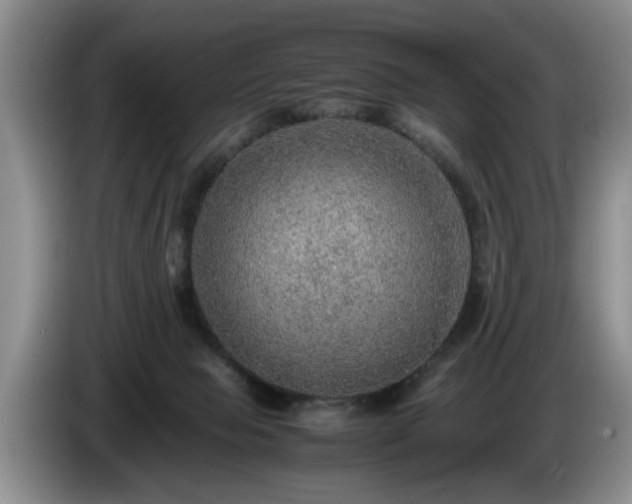 X0000086230077200704051206