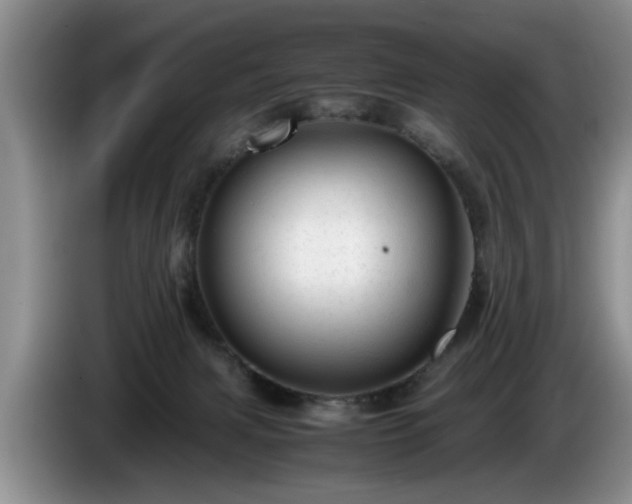 X0000086230079200704051206