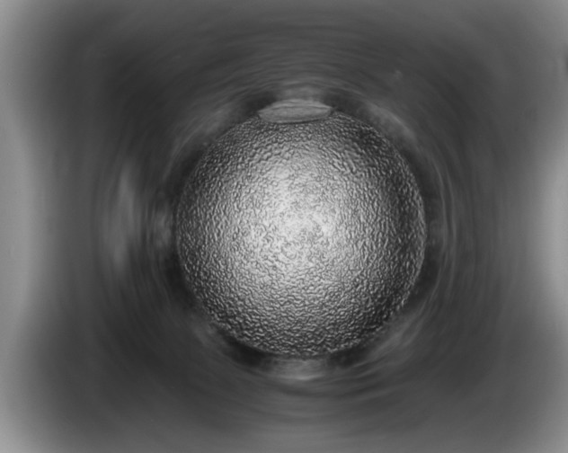 X0000086230081200704051206