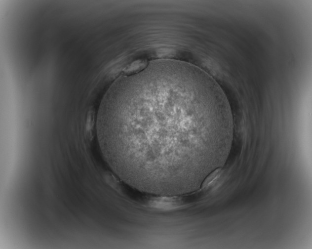 X0000086230082200704051206