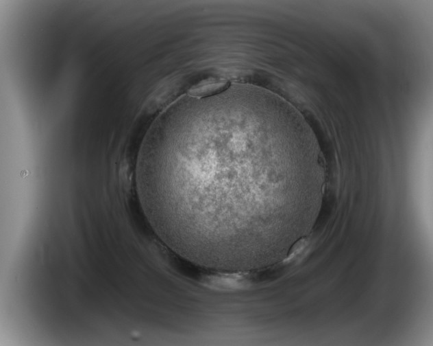 X0000086230086200704051206