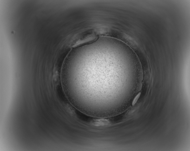 X0000086230087200704051206