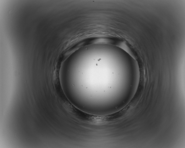 X0000086230088200704051206