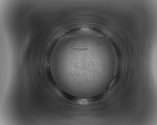 X0000086230091200704051206