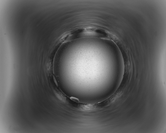 X0000086230092200704051206