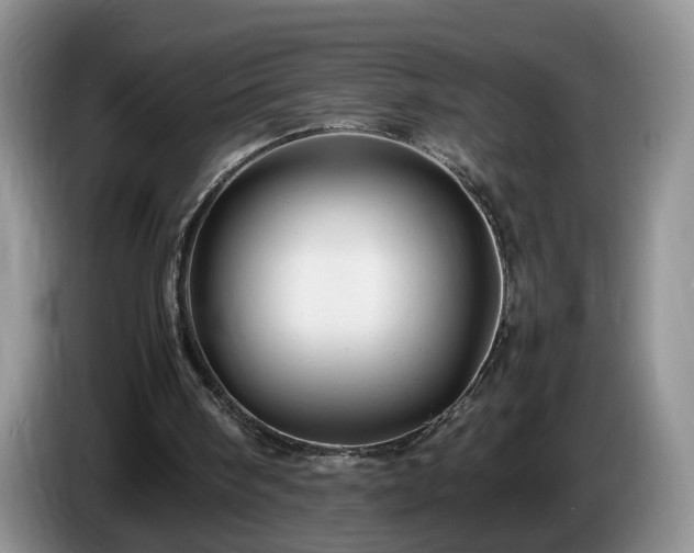 X0000086230098200704051206