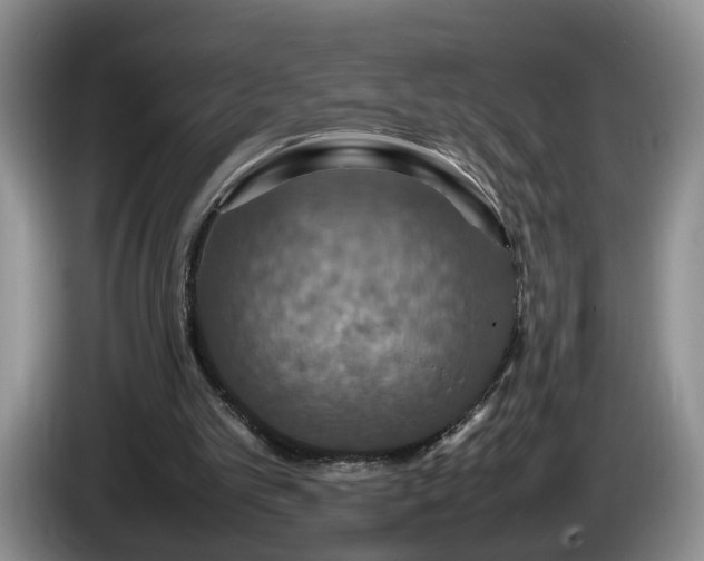 X0000086230101200704051206