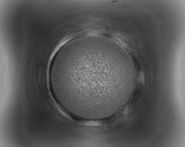 X0000086230102200704051206