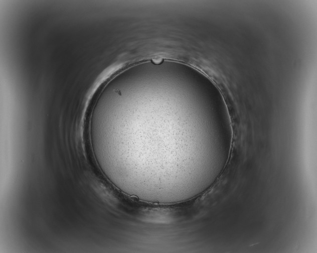 X0000086230104200704051206