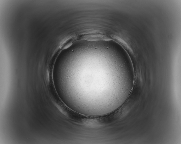 X0000086230110200704051205