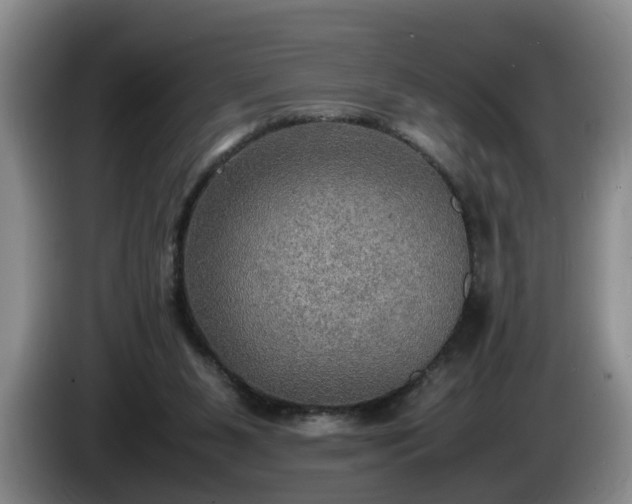 X0000086230111200704051205