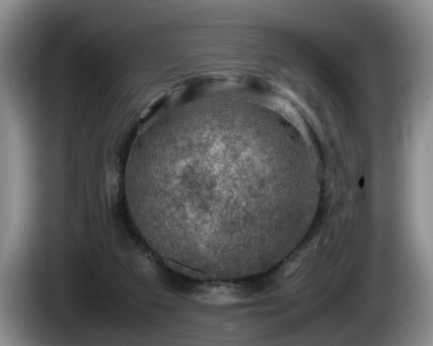 X0000086230113200704051205