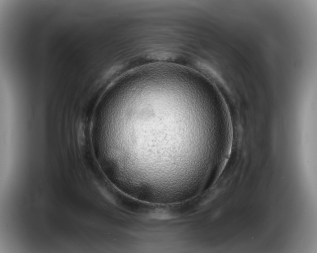 X0000086230114200704051205