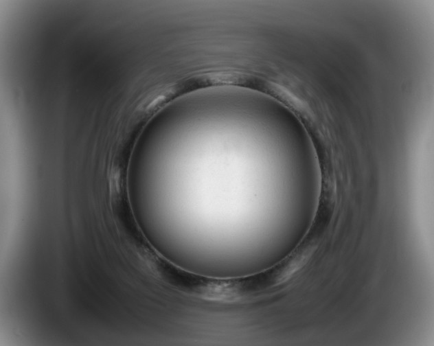 X0000086230117200704051205