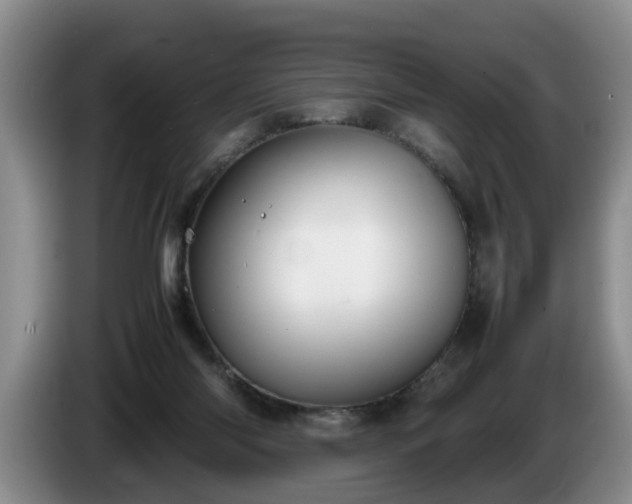 X0000086230118200704051205