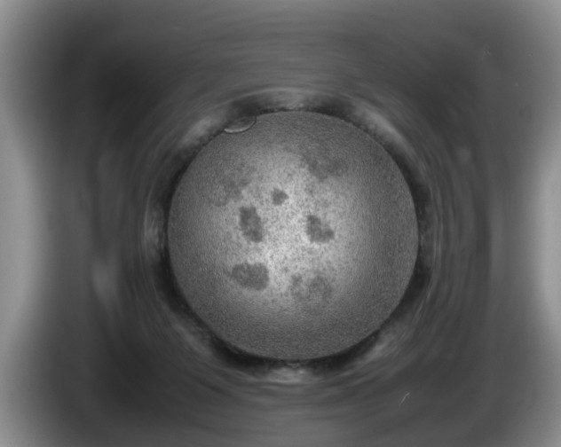 X0000086230119200704051205