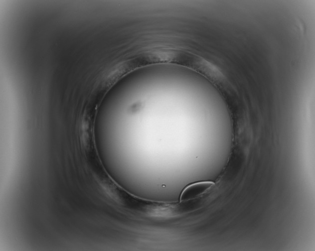 X0000086230122200704051205