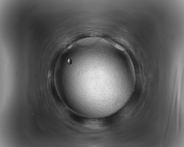 X0000086230123200704051205