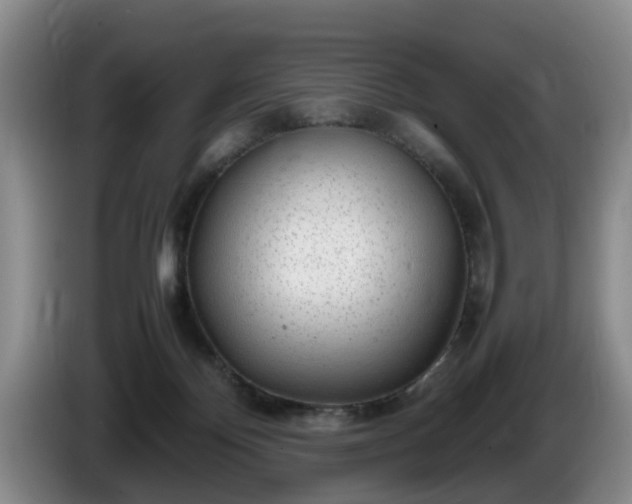 X0000086230124200704051205