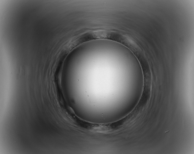 X0000086230125200704051205