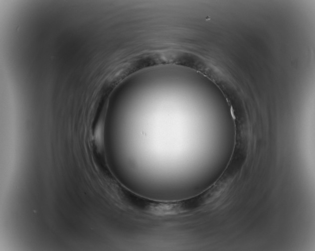 X0000086230129200704051205