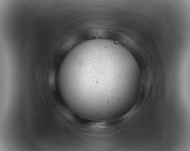 X0000086230132200704051205