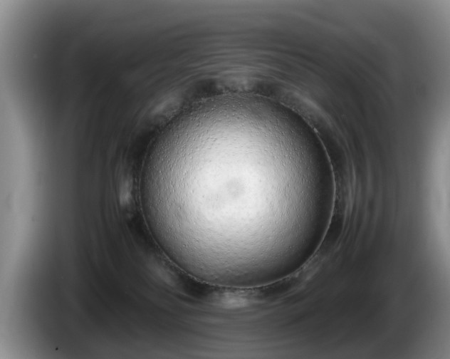 X0000086230134200704051205