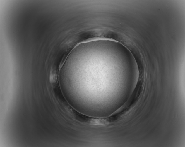 X0000086230137200704051205