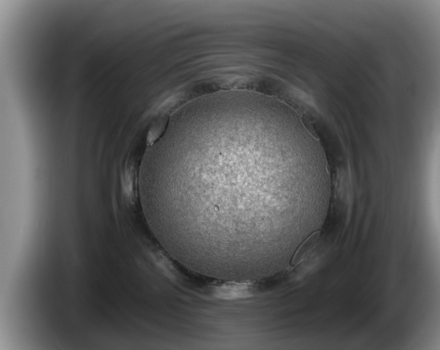 X0000086230138200704051205