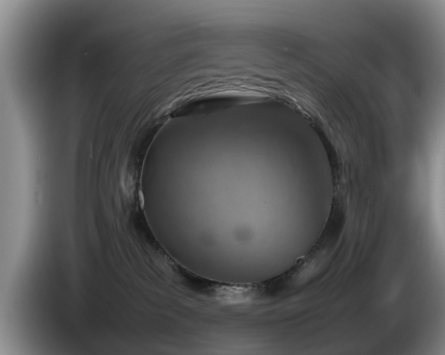 X0000086230139200704051205