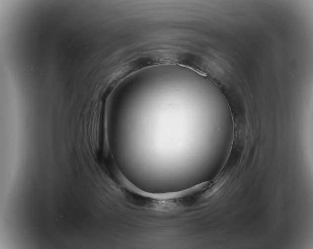 X0000086230141200704051205