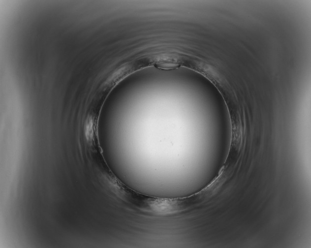 X0000086230142200704051205