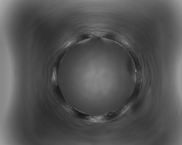 X0000086230143200704051205