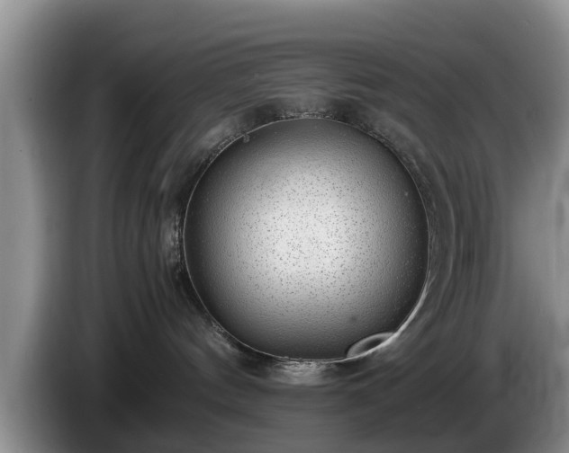 X0000086230144200704051205