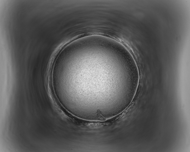 X0000086230145200704051204