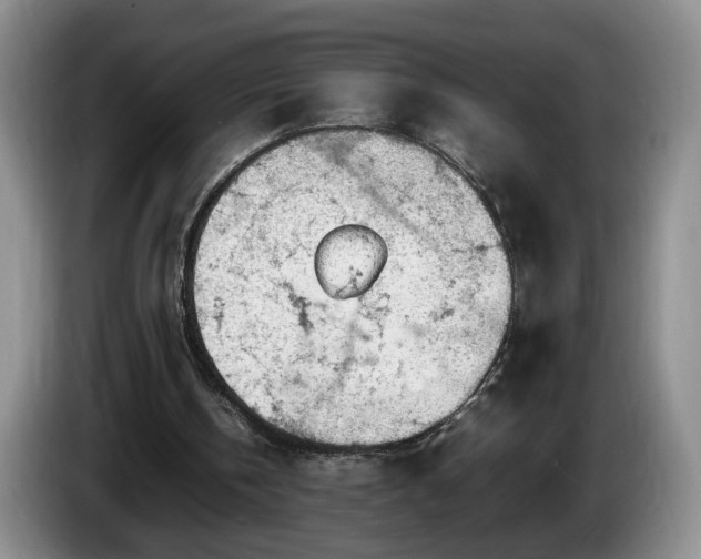 X0000086230146200704051204