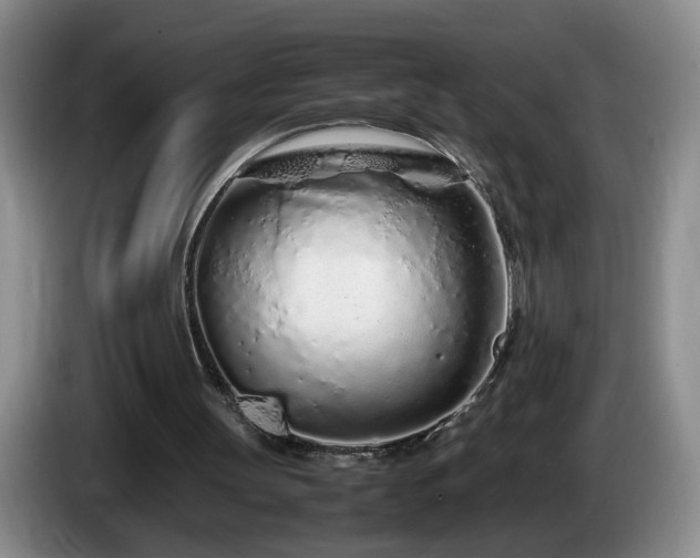 X0000086230147200704051204