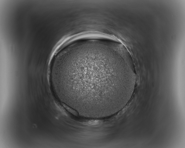 X0000086230152200704051204