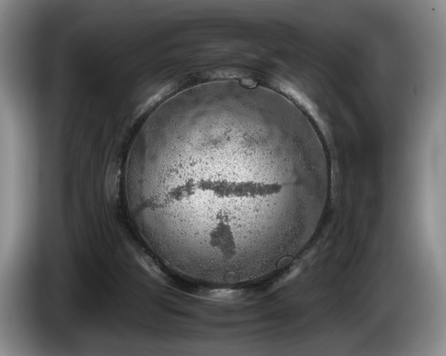 X0000086230153200704051204