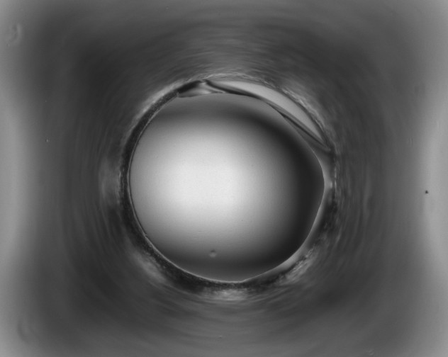 X0000086230156200704051204