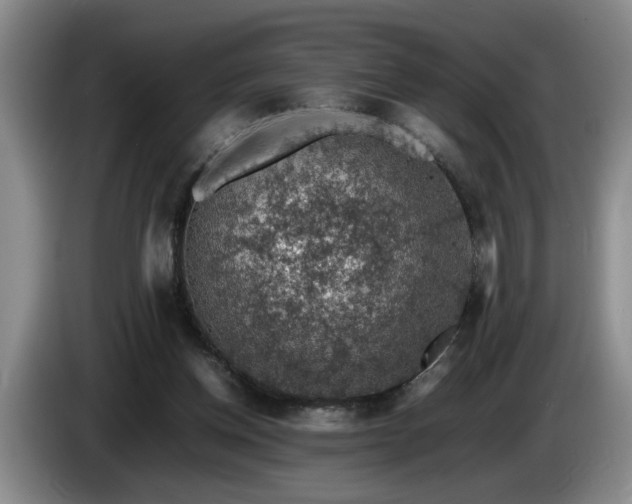 X0000086230158200704051205