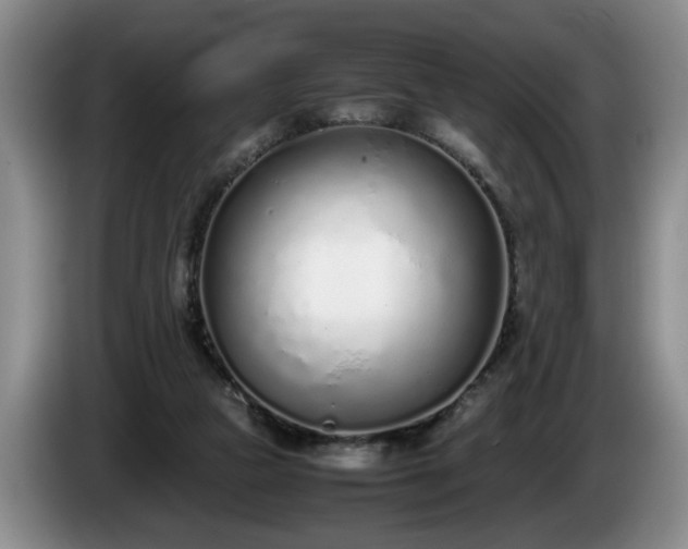 X0000086230161200704051205