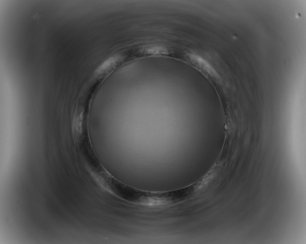 X0000086230163200704051205