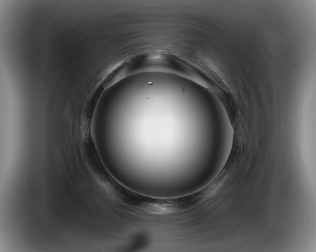 X0000086230164200704051205