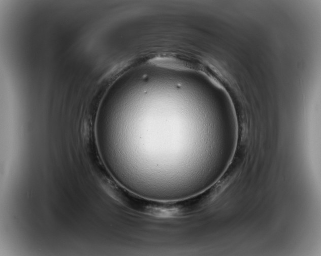 X0000086230165200704051205